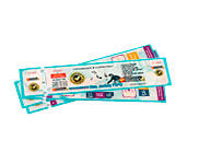 Ingressos De Segurança 211X51Mm