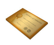 Certificados 300X210Mm Gold Master 300G Sem Verniz  4X0