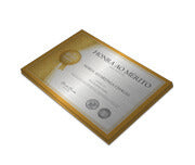 Certificados 300X210Mm Silver Lux 300G Sem Verniz  4X0