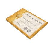 Certificados 300X210Mm Reciclato 250G Sem Verniz  4X0