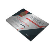 Certificados 300X210Mm Silver Lux 300G Sem Verniz  4X0