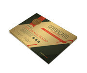 Certificados 300X210Mm Gold Master 300G Sem Verniz  4X0