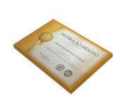 Certificados 300X210Mm Pero Plus 300G Sem Verniz  4X0
