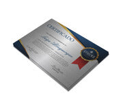 Certificados 300X210Mm Silver Lux 300G Sem Verniz  4X0