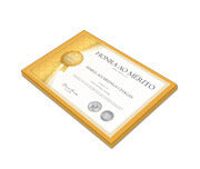 Certificados 300X210Mm Apergaminhado 240G Sem Verniz  4X0