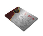 Certificados 300X210Mm Silver Lux 300G Sem Verniz  4X0
