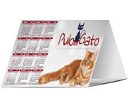 Calendário De Mesa Básico Couchê 250G  Verniz Uv Total Frente  4X0